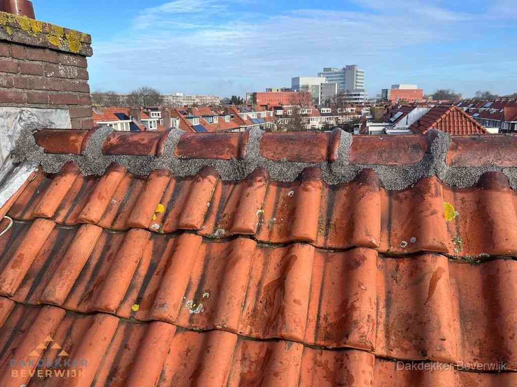 Beverwijk Daken Renoveren