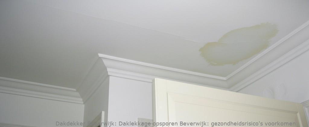 Daklekkage Opsporen Beverwijk 1